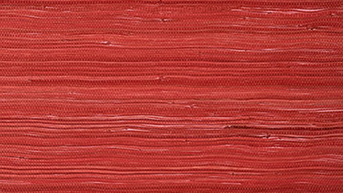 RAFFIA PALM T24071